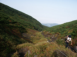 登山道