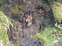 岩清水