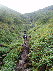 登山道