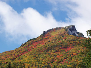 黒岳の紅葉