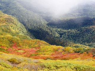 眼科に一面に広がる紅葉