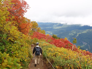 紅葉の中を下る