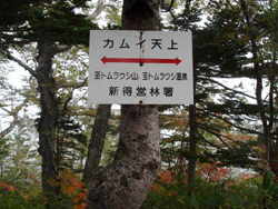 カムイ天上分岐