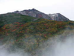 見えてきたトムラウシ山