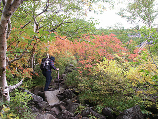 登山道