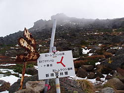 トムラウシ分岐