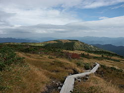 山頂