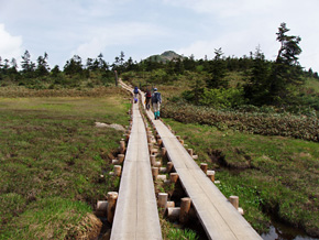 登山道