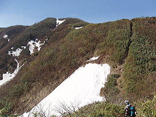 山頂方面を望む
