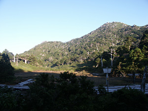 小花之江河