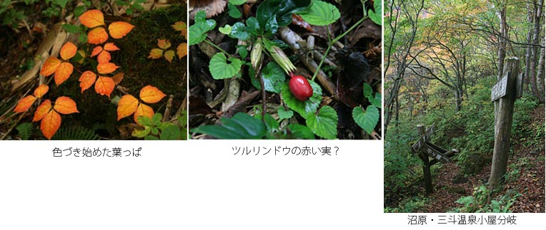 写真　ぬまっぱら・三斗温泉小屋分岐
