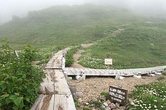 小屋前の朝日岳分岐