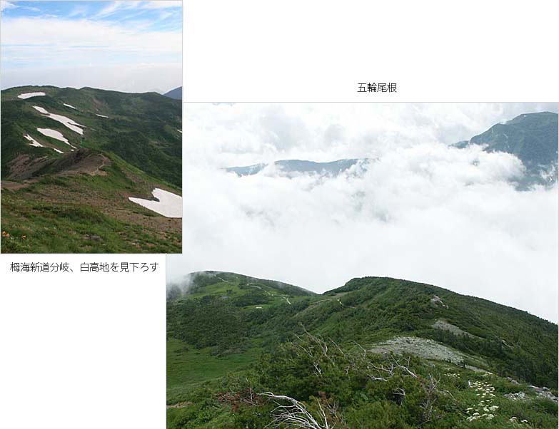 つなみ新道は日本海へ抜ける長い登山道、その分岐点と五輪尾根の写真