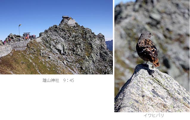 大勢の人でにぎわう雄山と雄山山頂神社とイワヒバリの写真