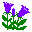 イワギキョウ・アイコン