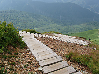 山頂へ向う急な木の階段