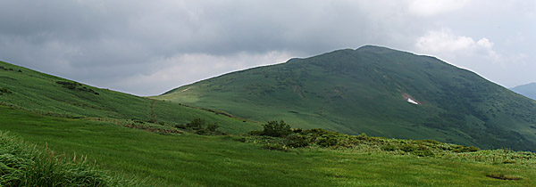 仙ノ倉山と笹原
