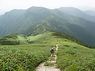 山頂から平標山の家へ続く登山道