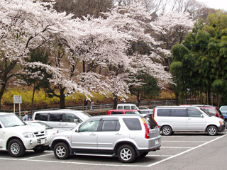 吾妻公園駐車場