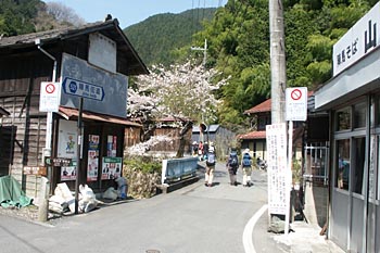ここから アスファルトの道を歩き始めます