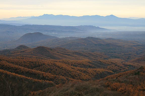 カラマツに彩られた手前の山々。その奥に八ヶ岳を望む。