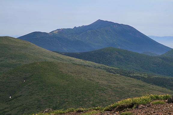 写真。大きくどっしりと見えます。