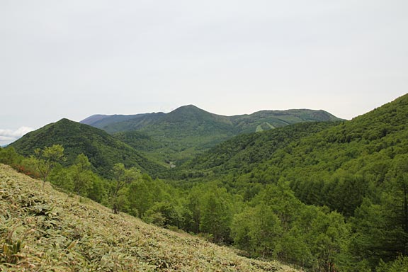 手前はさじきやま、その奥に浅間山・くろふやま・みずのとさん・にしかごのとさん　が両翼を広げた翼のように見えます