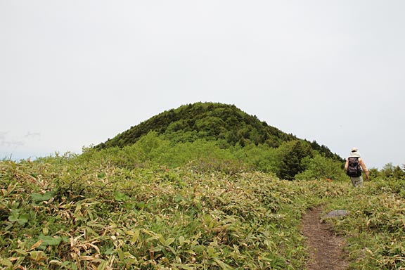 丸いなだらかな山頂が見えてきました