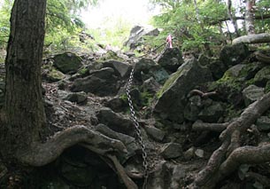 一箇所だけでしたが