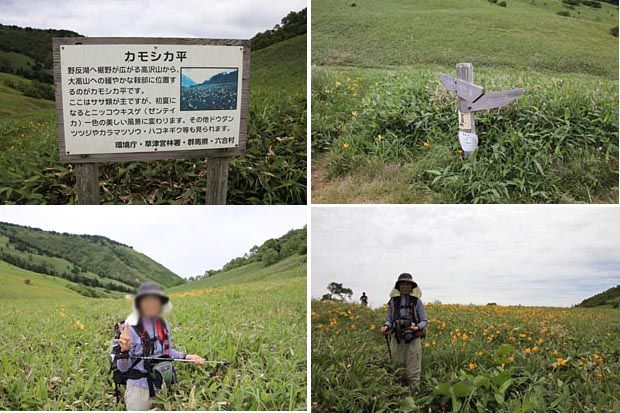 カモシカ平の標識と笹薮の中を進む写真