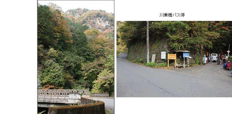 川乗り橋バス停写真