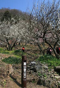 幕山公園登山口 幕山公園登山口