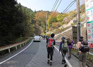 車道を5分ほど歩いて