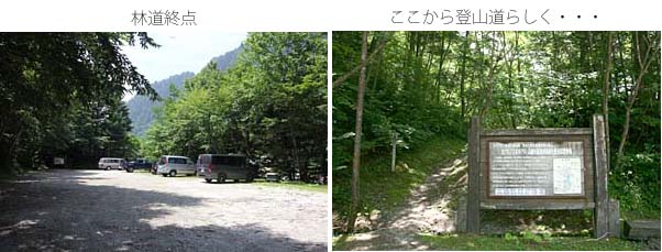 林道終点の写真