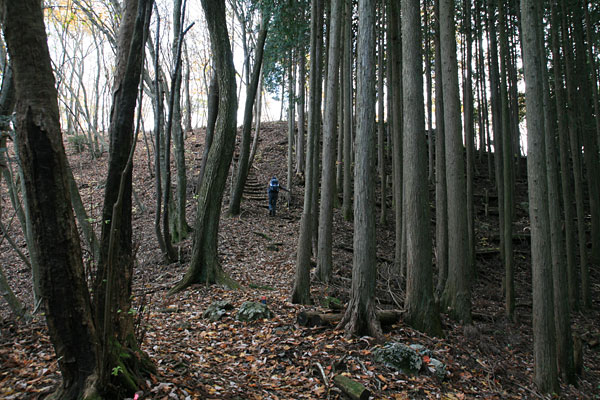 写真
