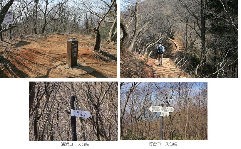 浦浜コース、灯台コース分岐を過ぎて