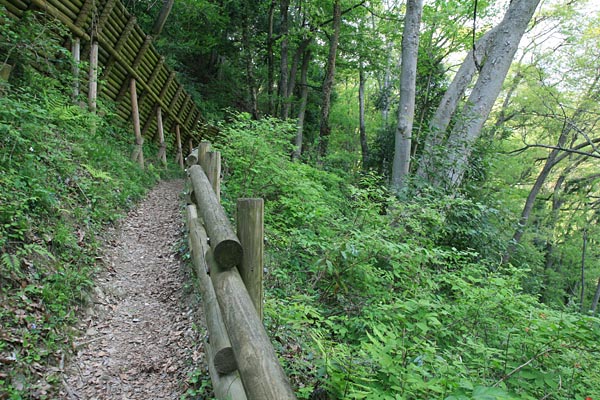 登り始めの登山道