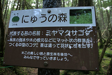案内表示板