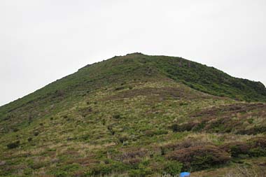 山肌は一面茶色