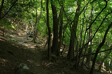 歩き始めの登山道の写真