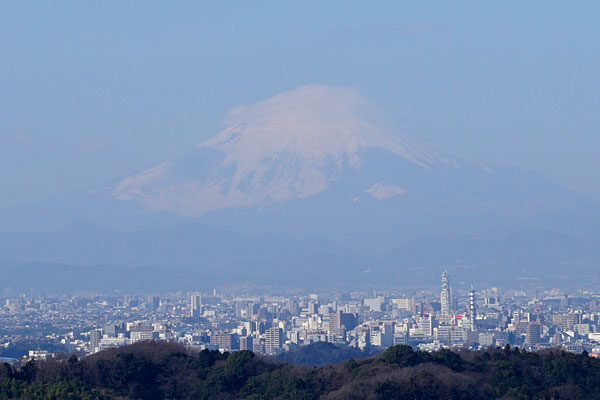 展望台からの景色