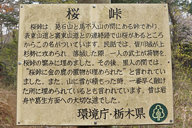 案内板には、桜峠は、てるいしやまとうまいらずやまの間にある峠で、ヤマザクラがあるところからこの名がついています。昔は岩舟や葛生方面への大切な道でしたと書かれています
