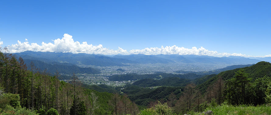 山頂からの写真