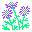 マツムシソウ・イラスト