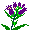 リンドウのイラスト